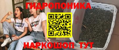 стаф Кулебаки
